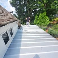 Man cleaning or inspecting a metal roof on a residential home surrounded by trees.
