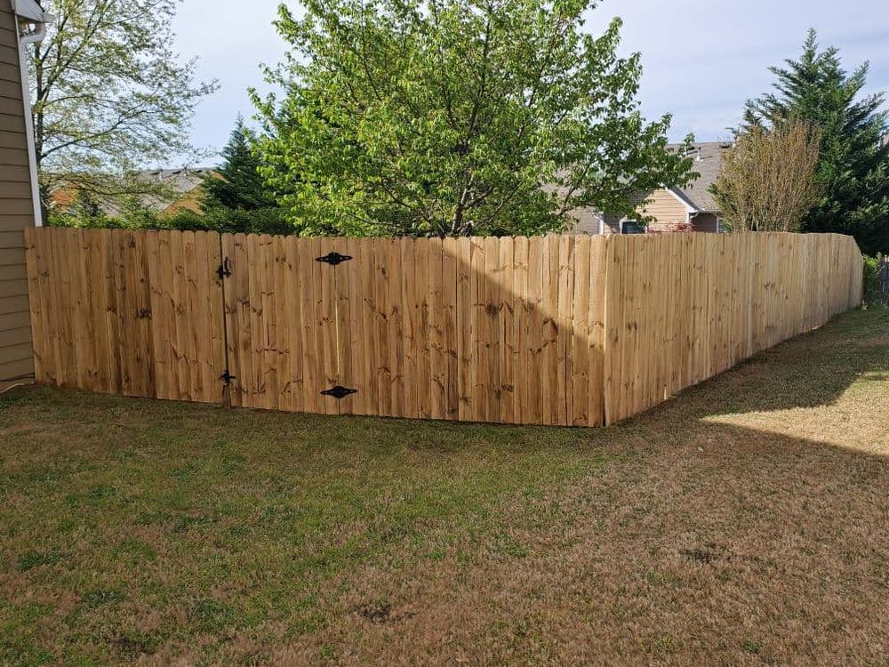 Wooden fence enclosing a backyard with greenery and trees, enhancing privacy and aesthetics.